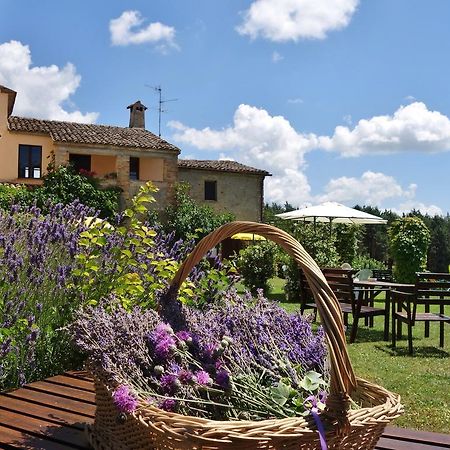 Agriturismo Monterosello Città di Castello Exterior foto